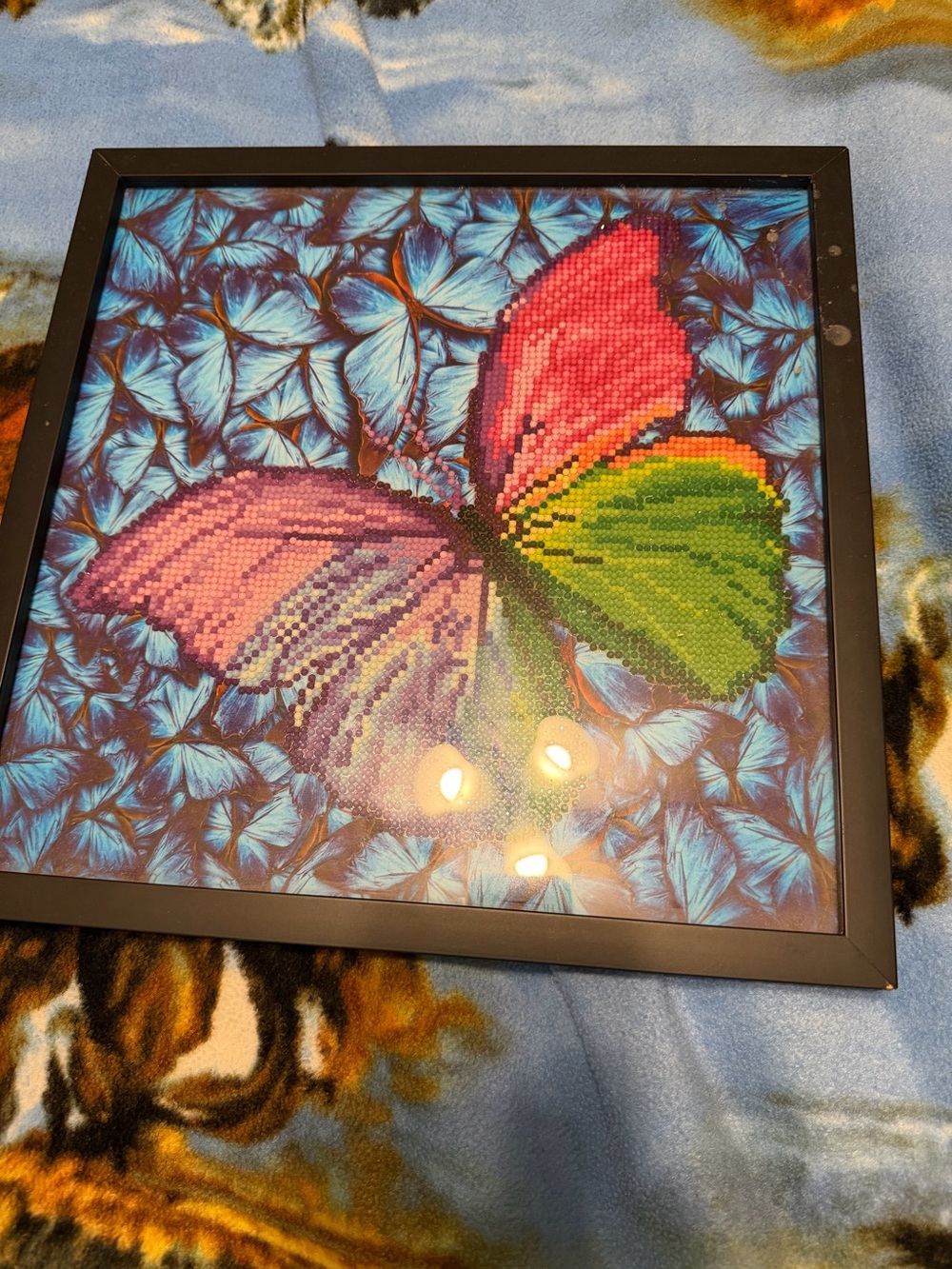 Framed Rainbow Butterfly Wall Art - Multicolor
